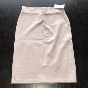 Charlotte Russe skirt